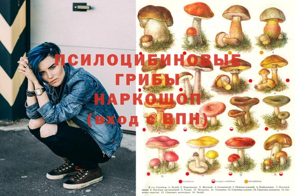 герыч Алексеевка