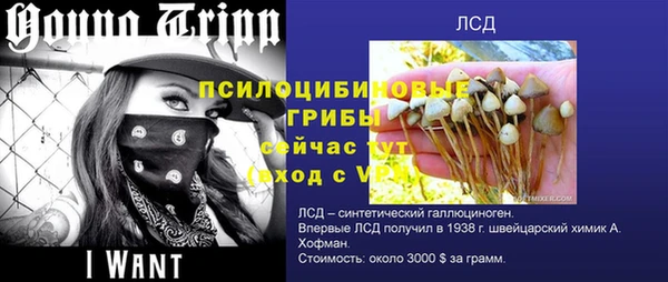 jwh Алексин