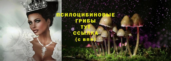 дмт Алзамай