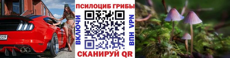 Псилоцибиновые грибы Psilocybe  Кыштым 